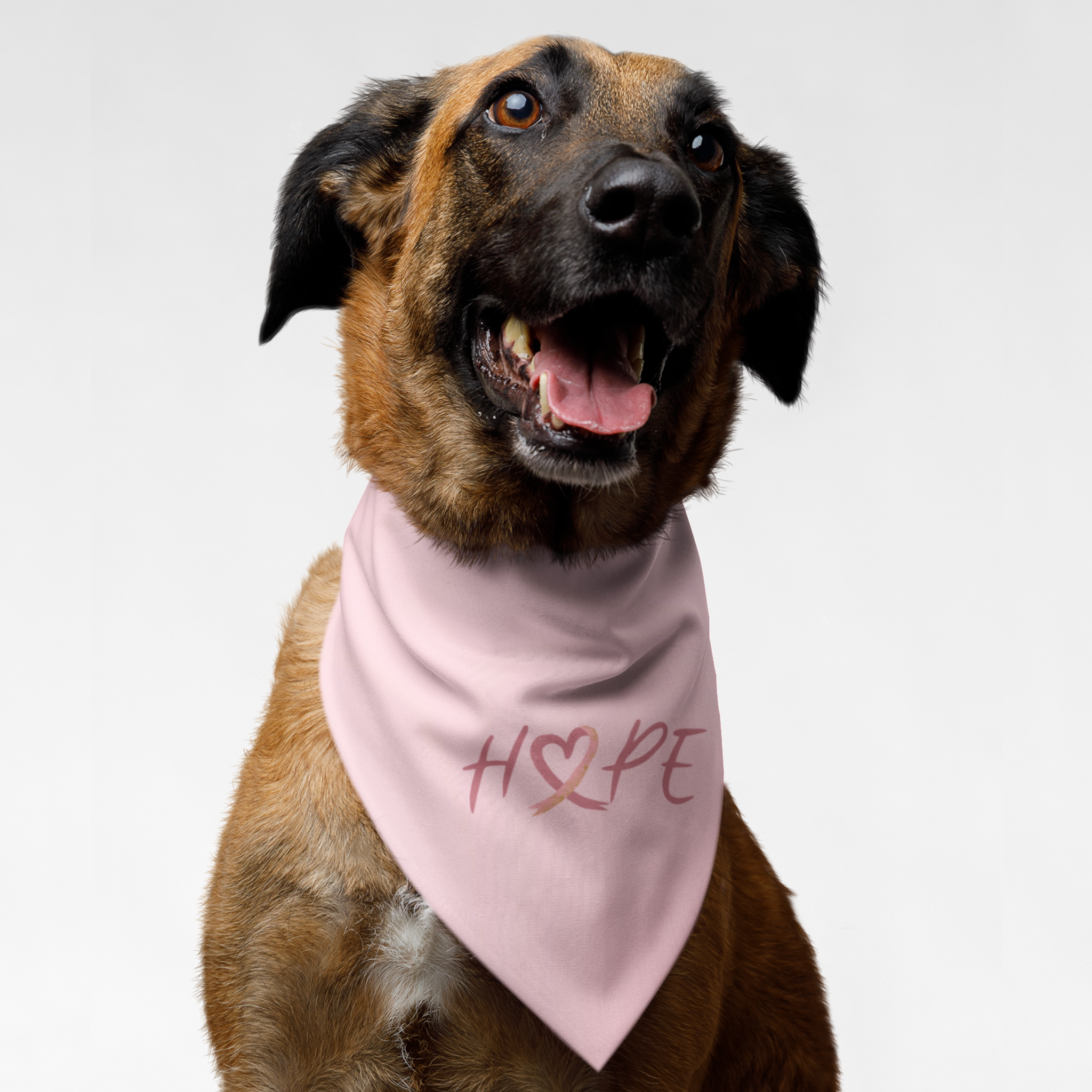 Dog wearing cancer awareness bandana saying Hope.