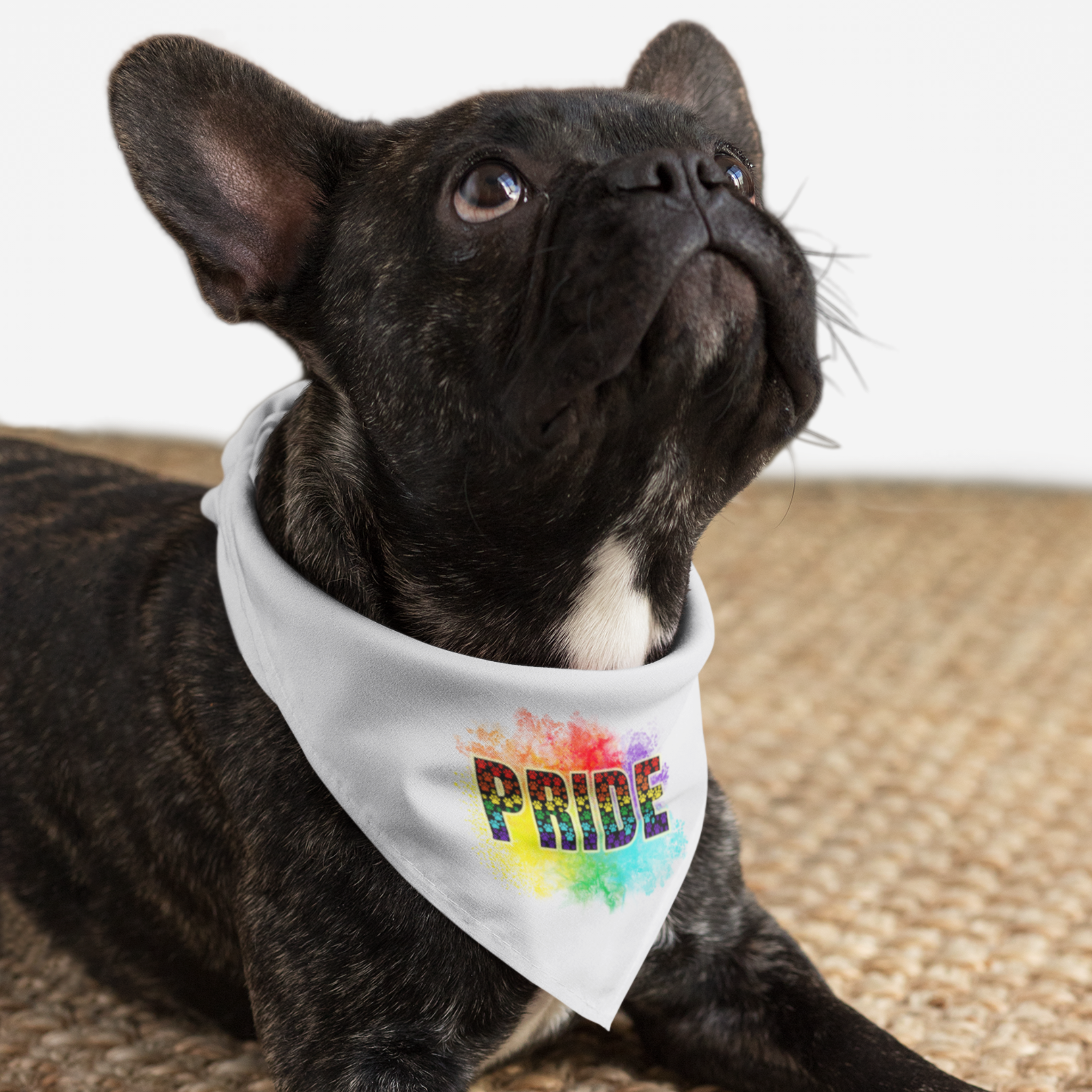 Dog wearing Pride bandana featuring rainbow colored paws.