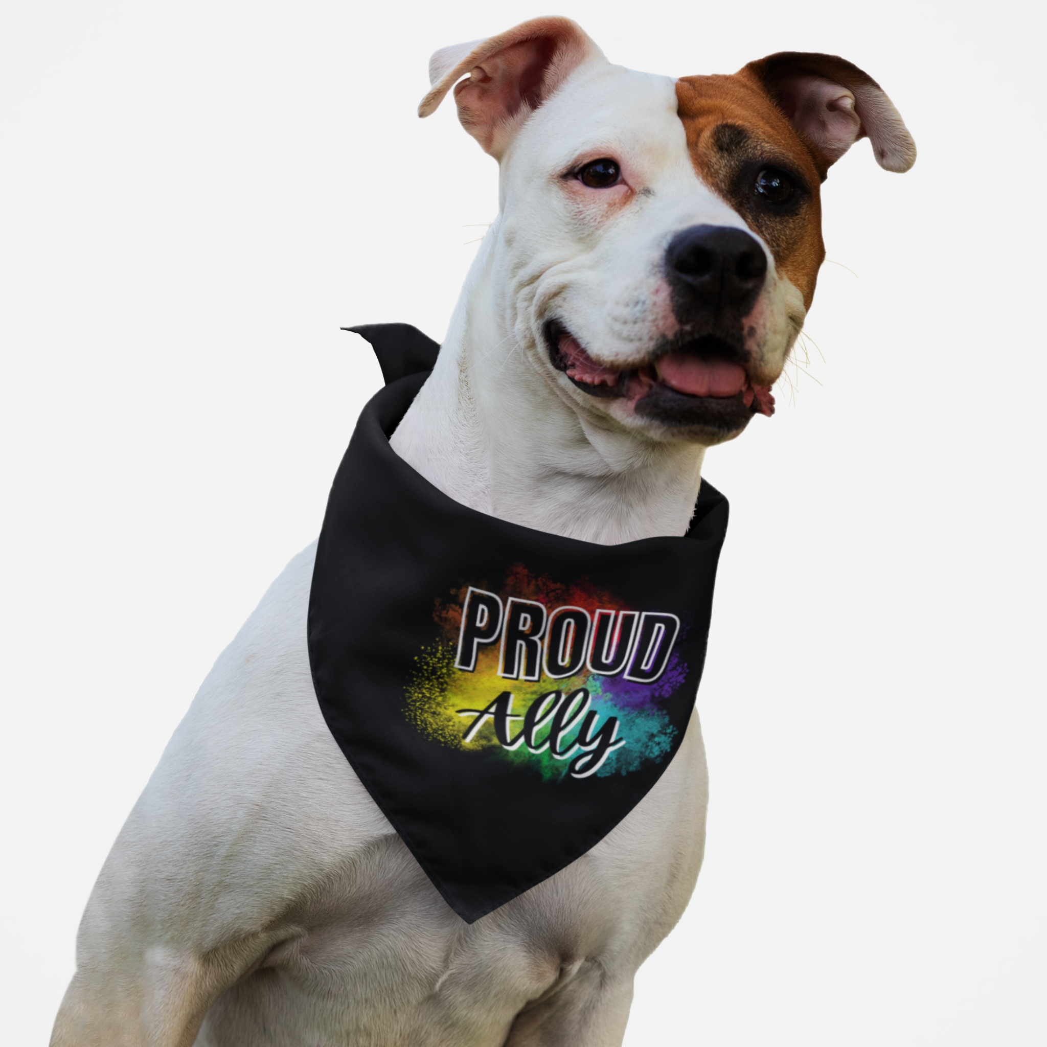 Dog wearing Pride bandana with rainbow brush backdrop and "Proud Ally" quote.