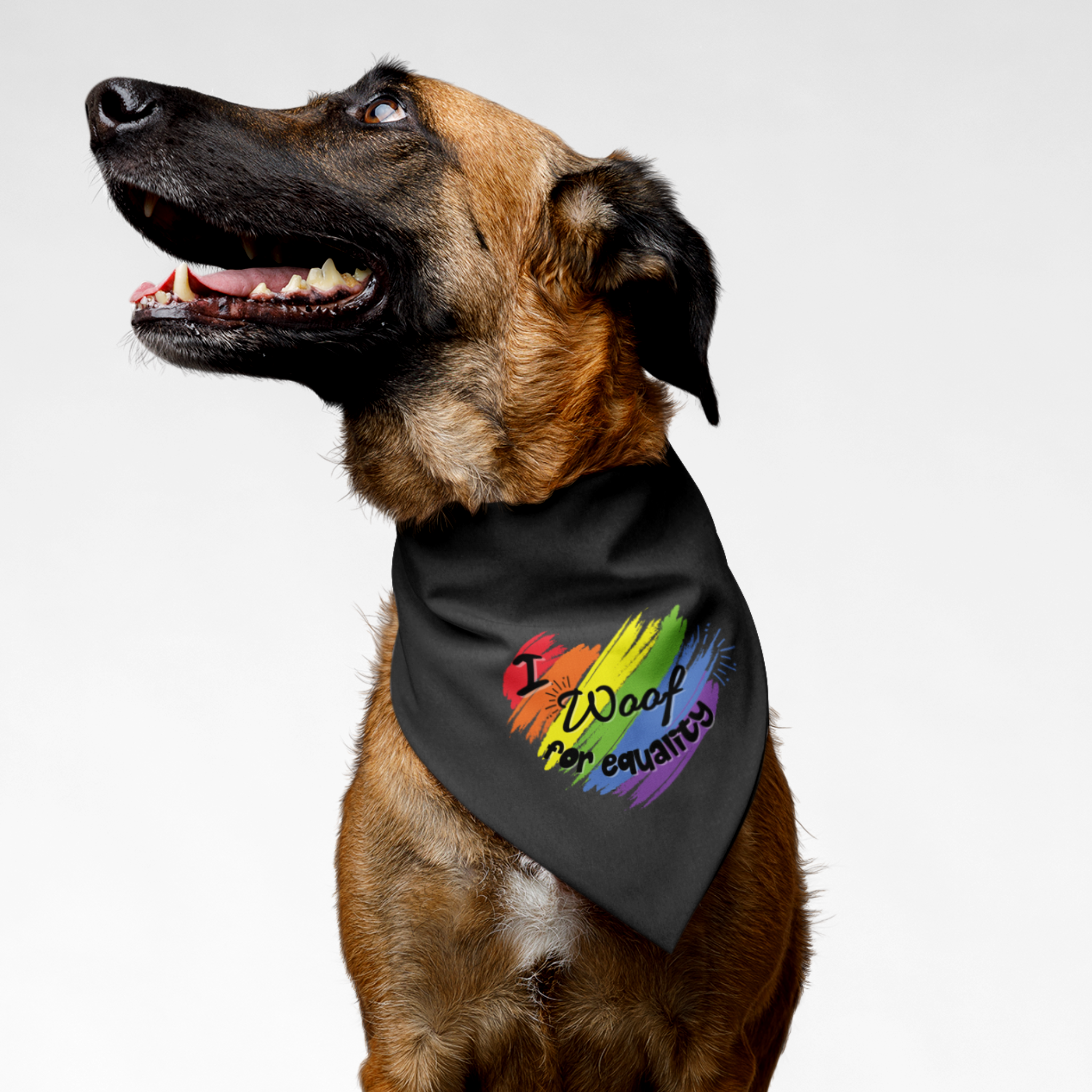 Dog wearing Pride bandana with rainbow brushstroke backdrop saying I Woof For Equality.