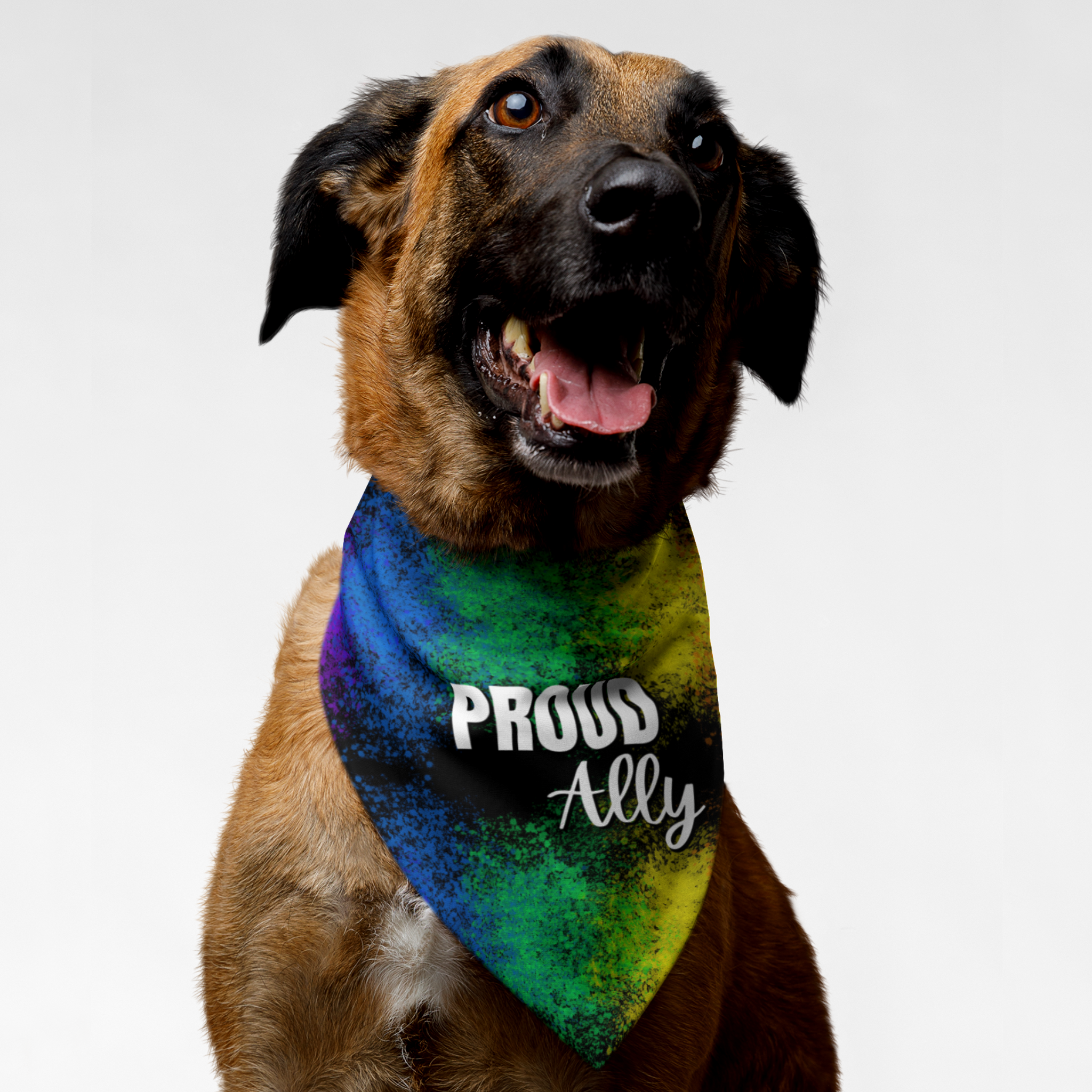 Dog wearing Pride bandana with rainbow paint splash backdrop saying "Proud Ally."