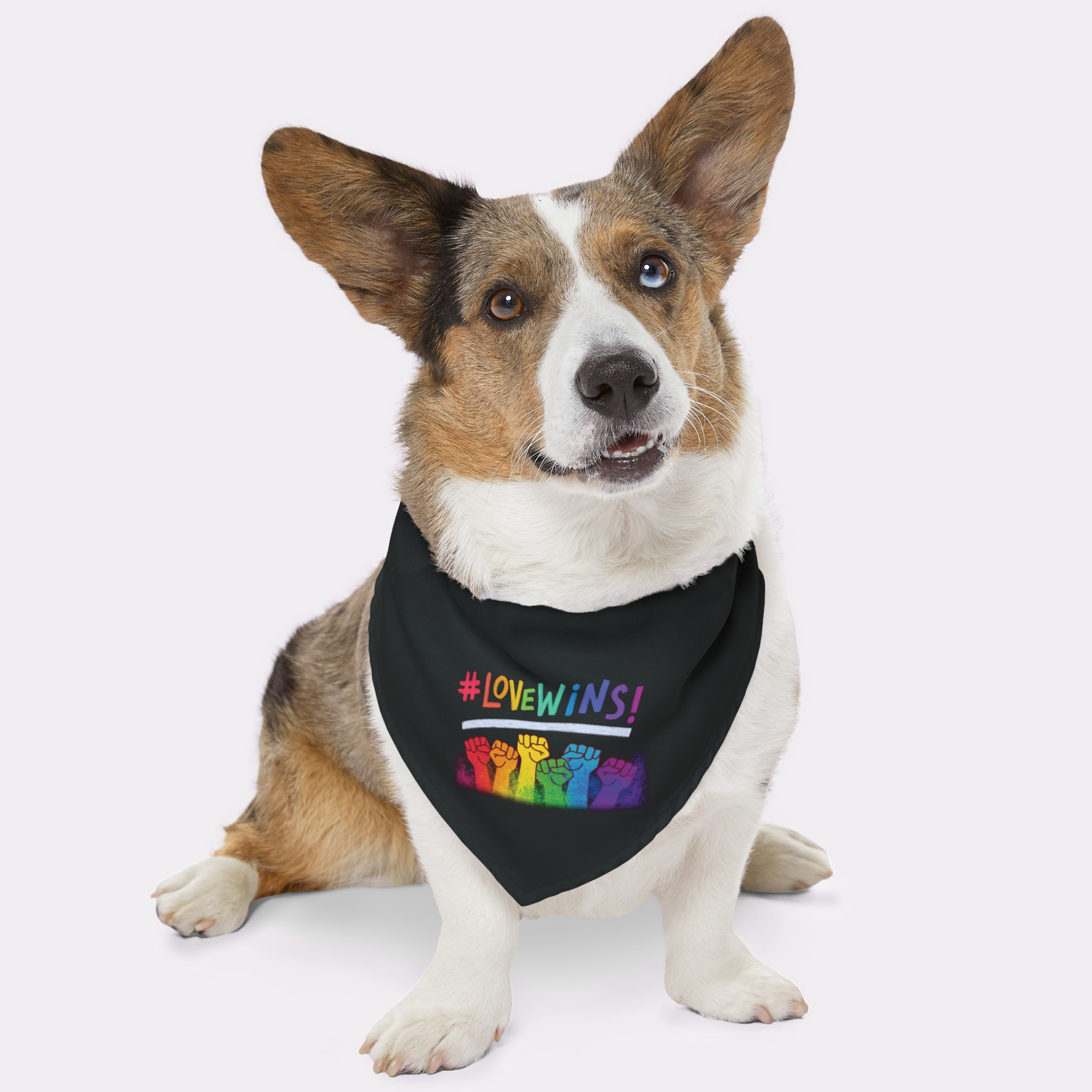 Dog wearing Pride bandana with raised fists graphic saying Love Wins.