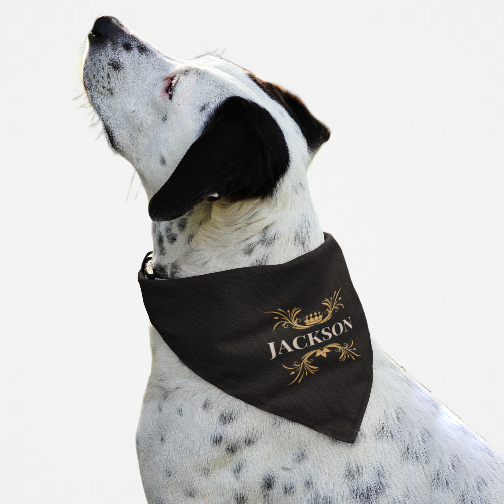 Dog wearing royal style personalized name bandana with custom black leather print effect background.