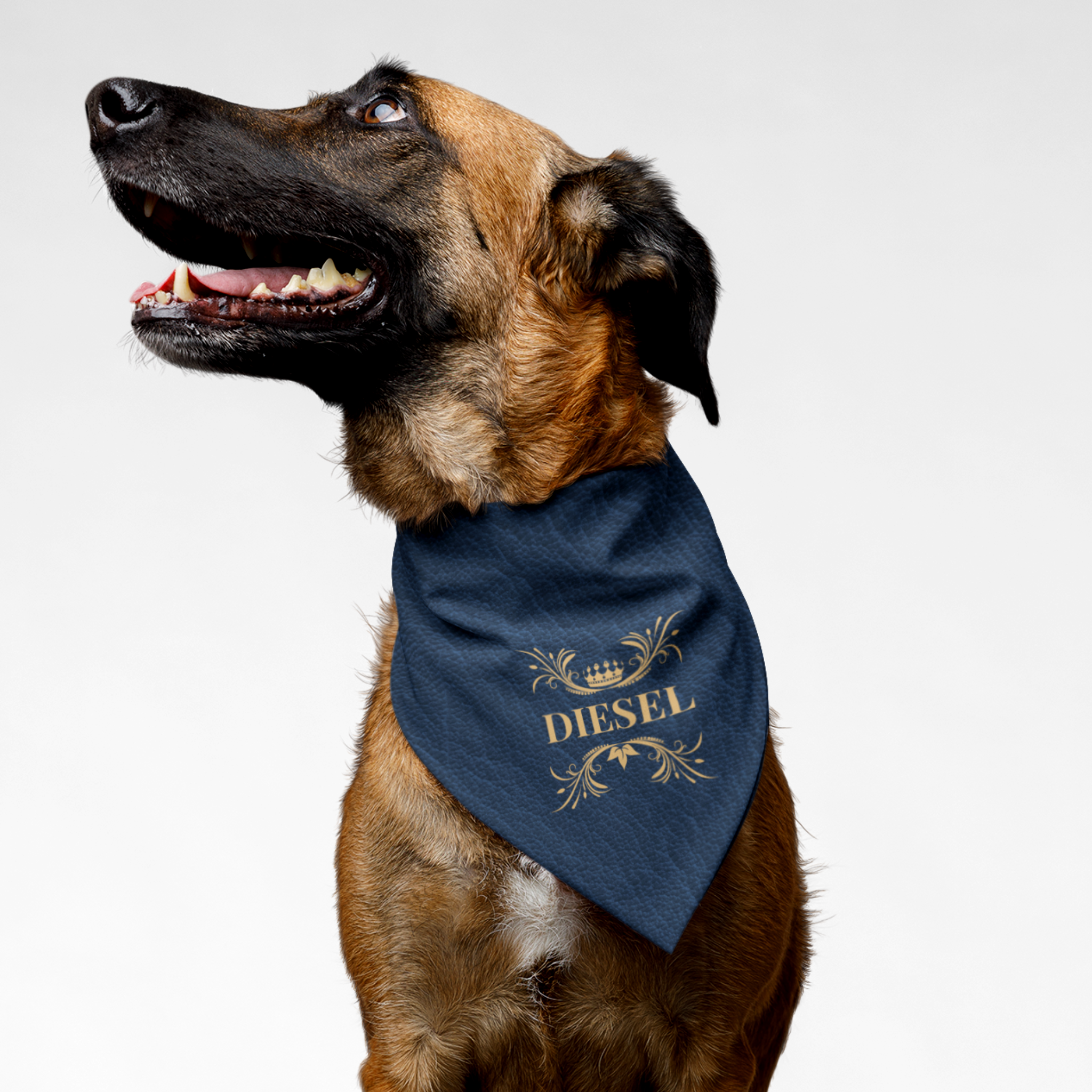 Dog wearing royal style personalized name bandana with custom blue leather print effect background.