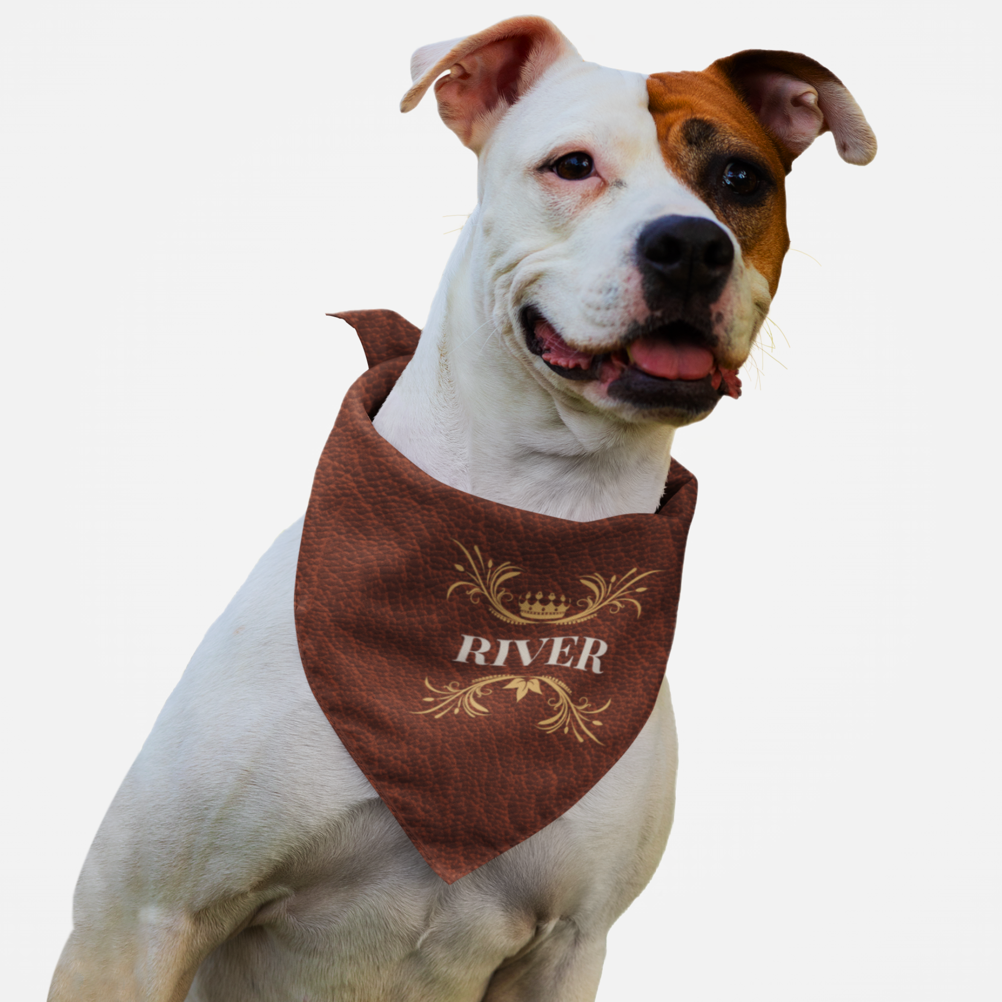 Dog wearing royal style personalized name bandana with custom dark tan leather print effect background.