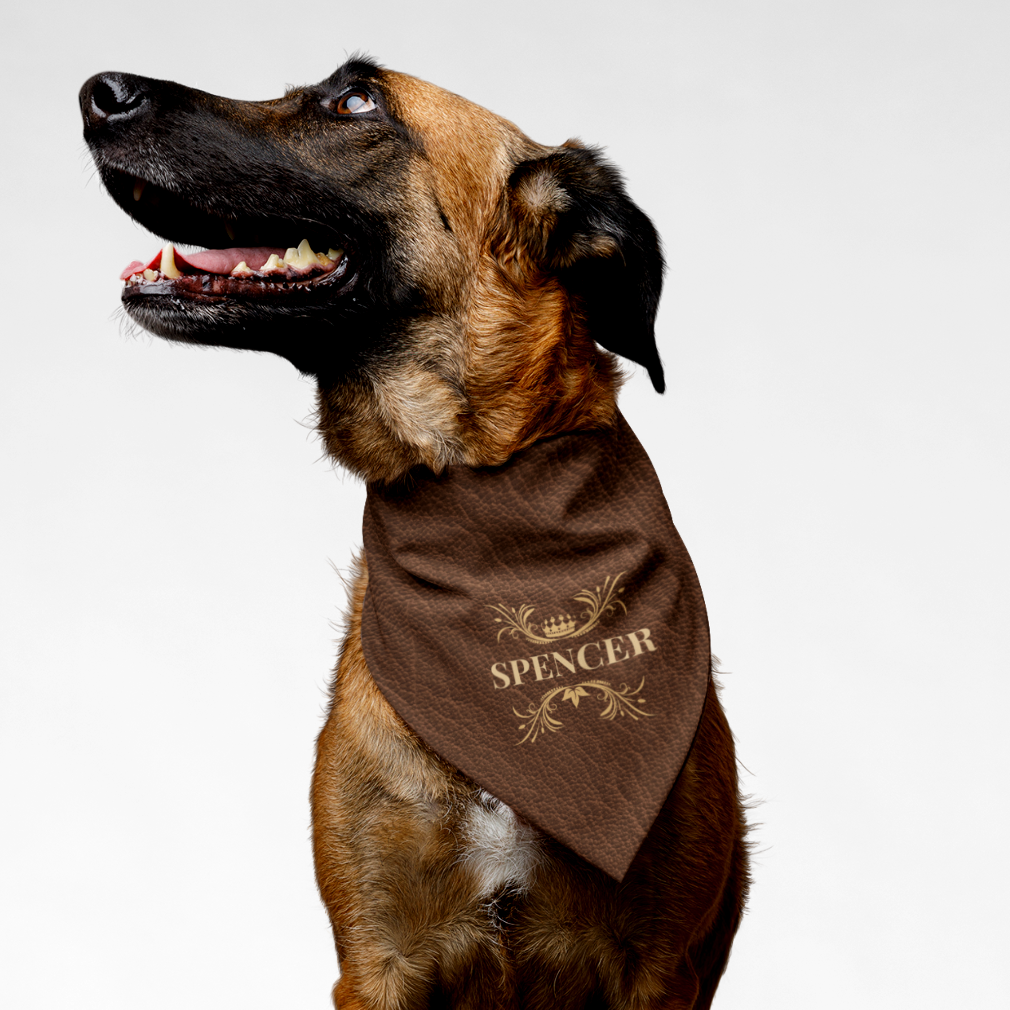 Dog wearing royal style personalized name bandana with custom light tan leather print effect background.