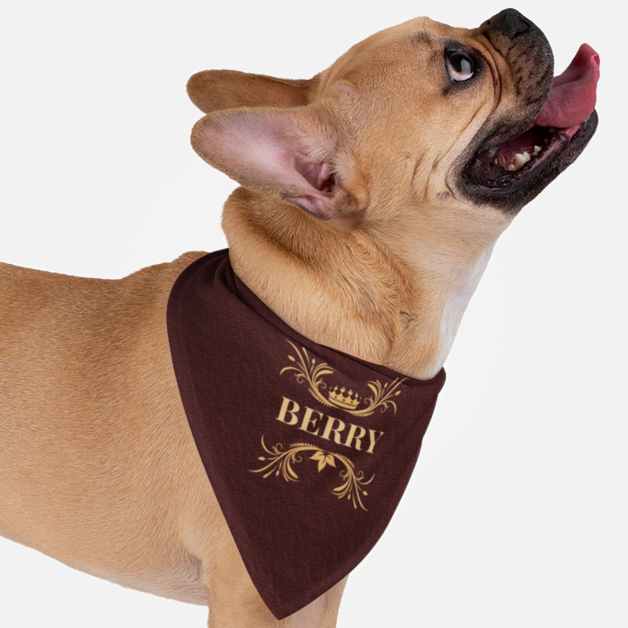 Dog wearing royal style personalized name bandana with custom red leather print effect background.