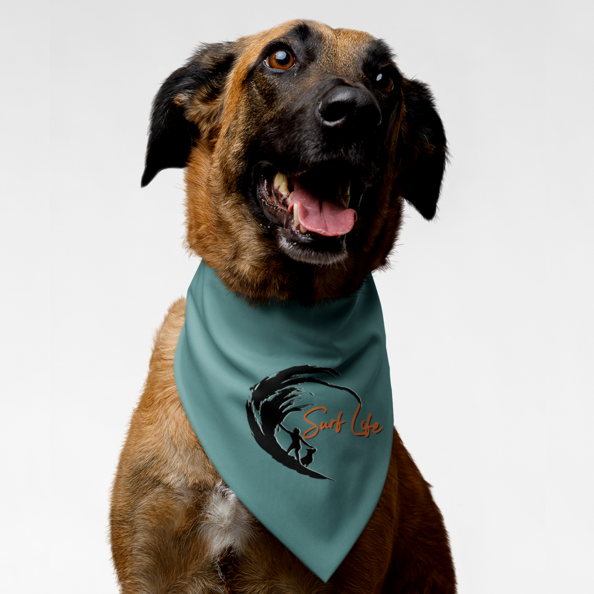 Dog wearing sea adventure bandana saying Surf Life.