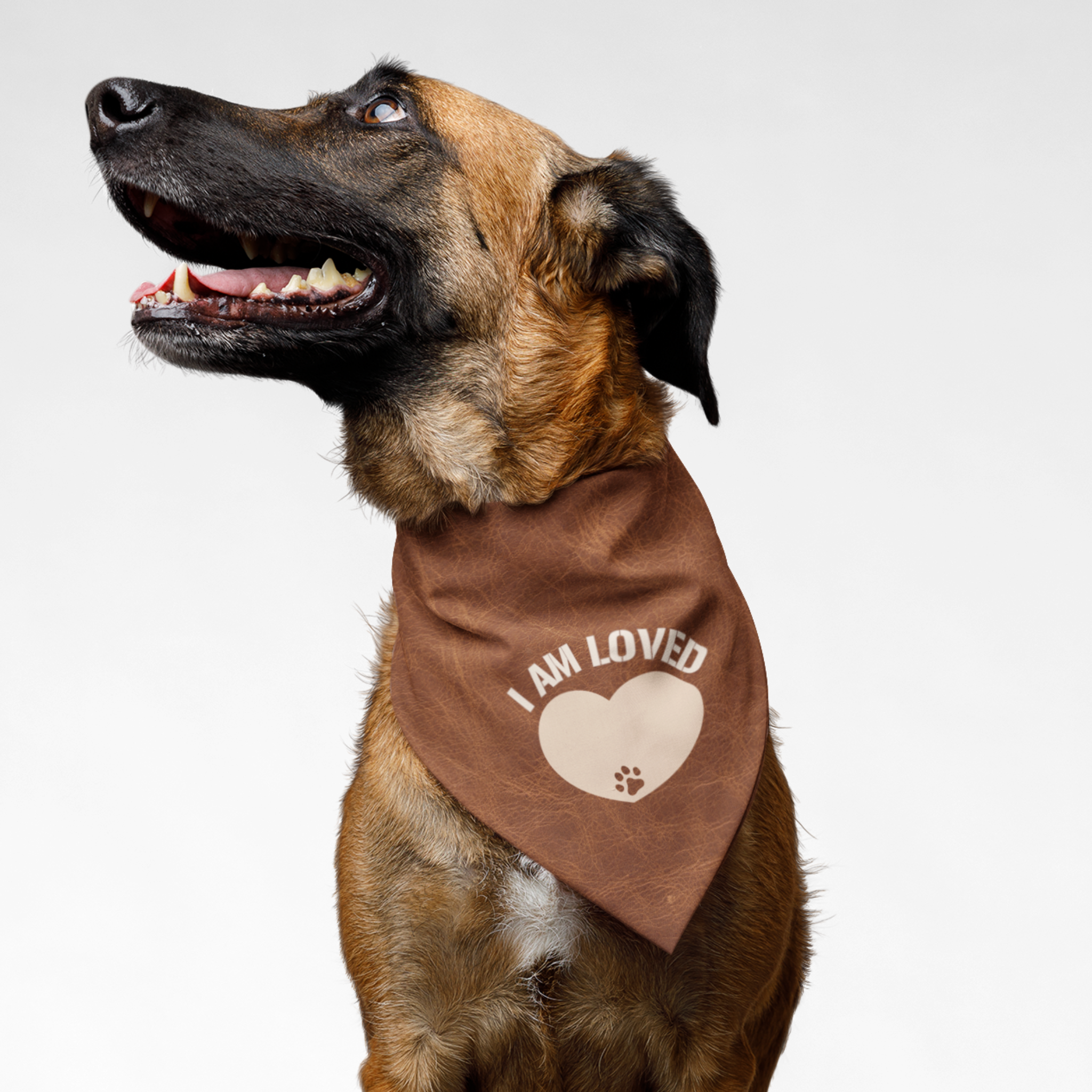 Dog with affirmation bandana saying I Am Loved.