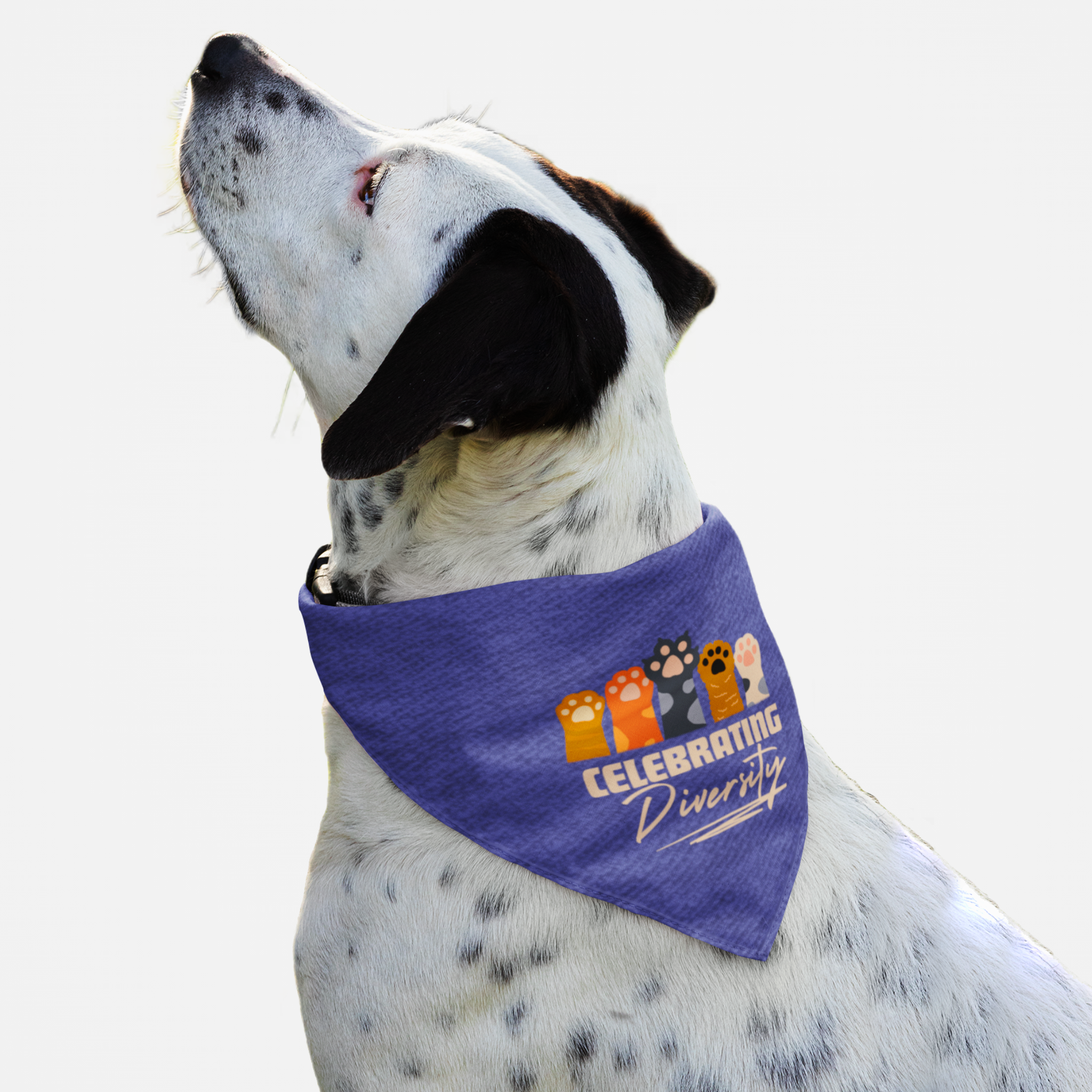 English Pointer wearing a dog bandana saying Celebrating Diversity.