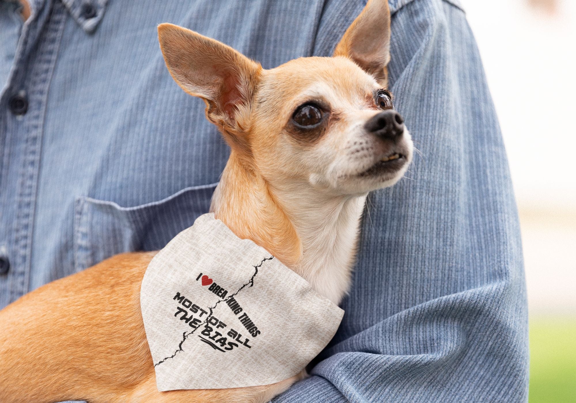 Man holding dog wearing diversity and inclusion graphic bandana with Breaking The Bias quote printed on it.