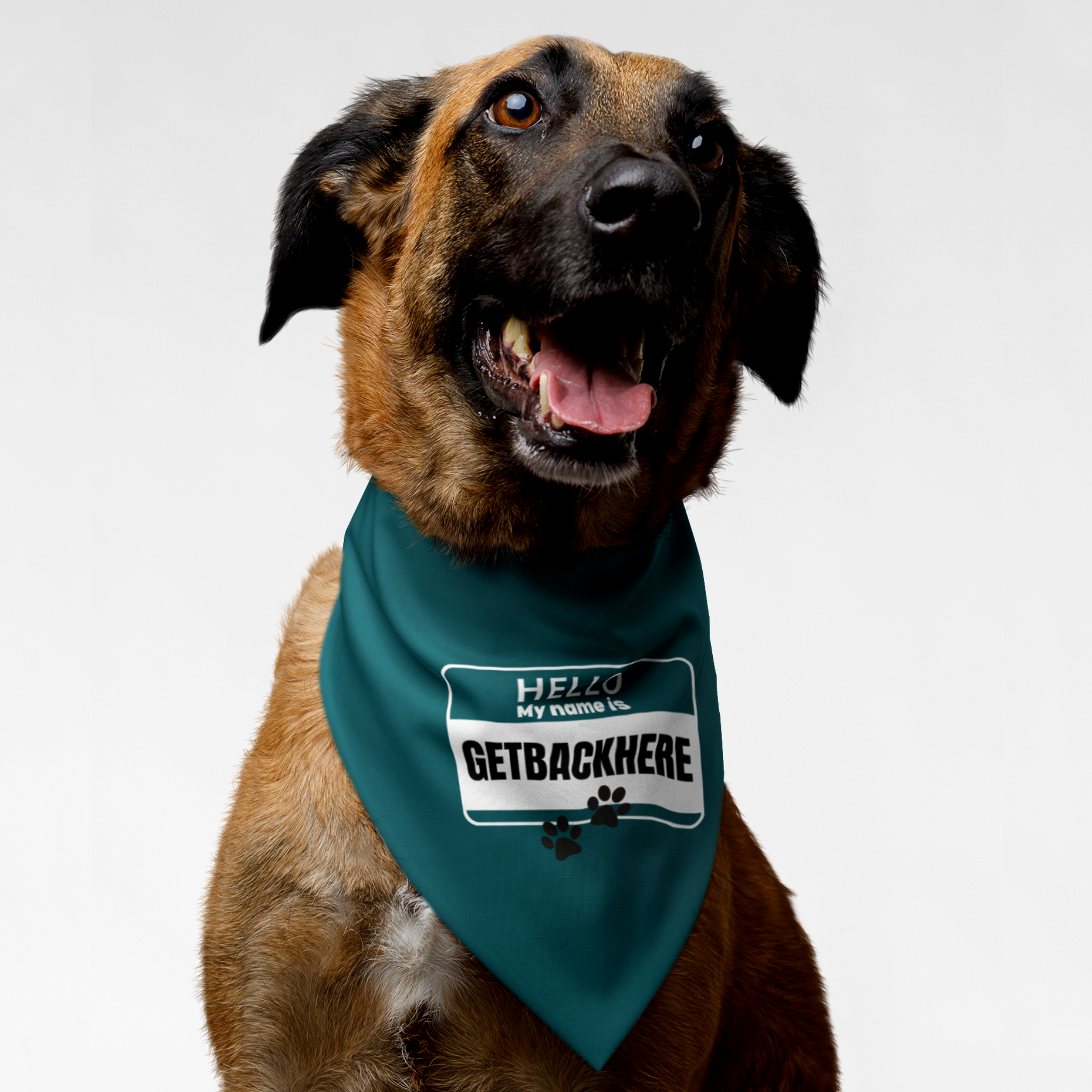 Naughty dog wearing funny bandana saying "Hello. My Name Is GetBackHere."