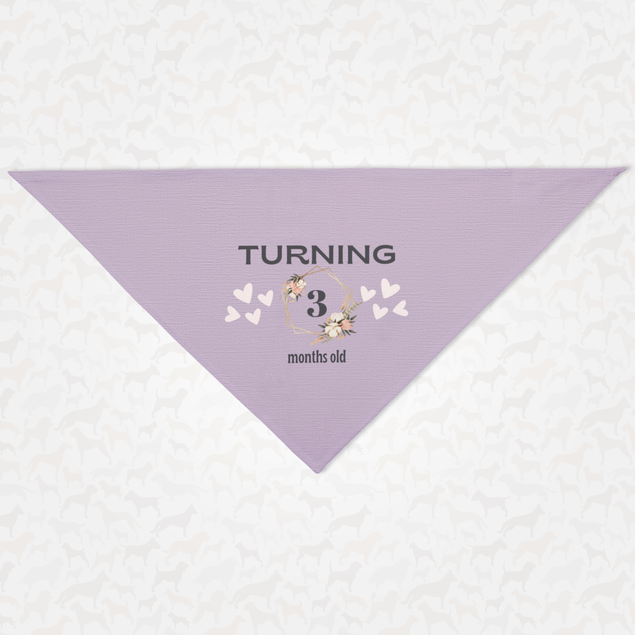 Personalized birthday dog bandana featuring custom month age in floral frame with hearts on lavender background.