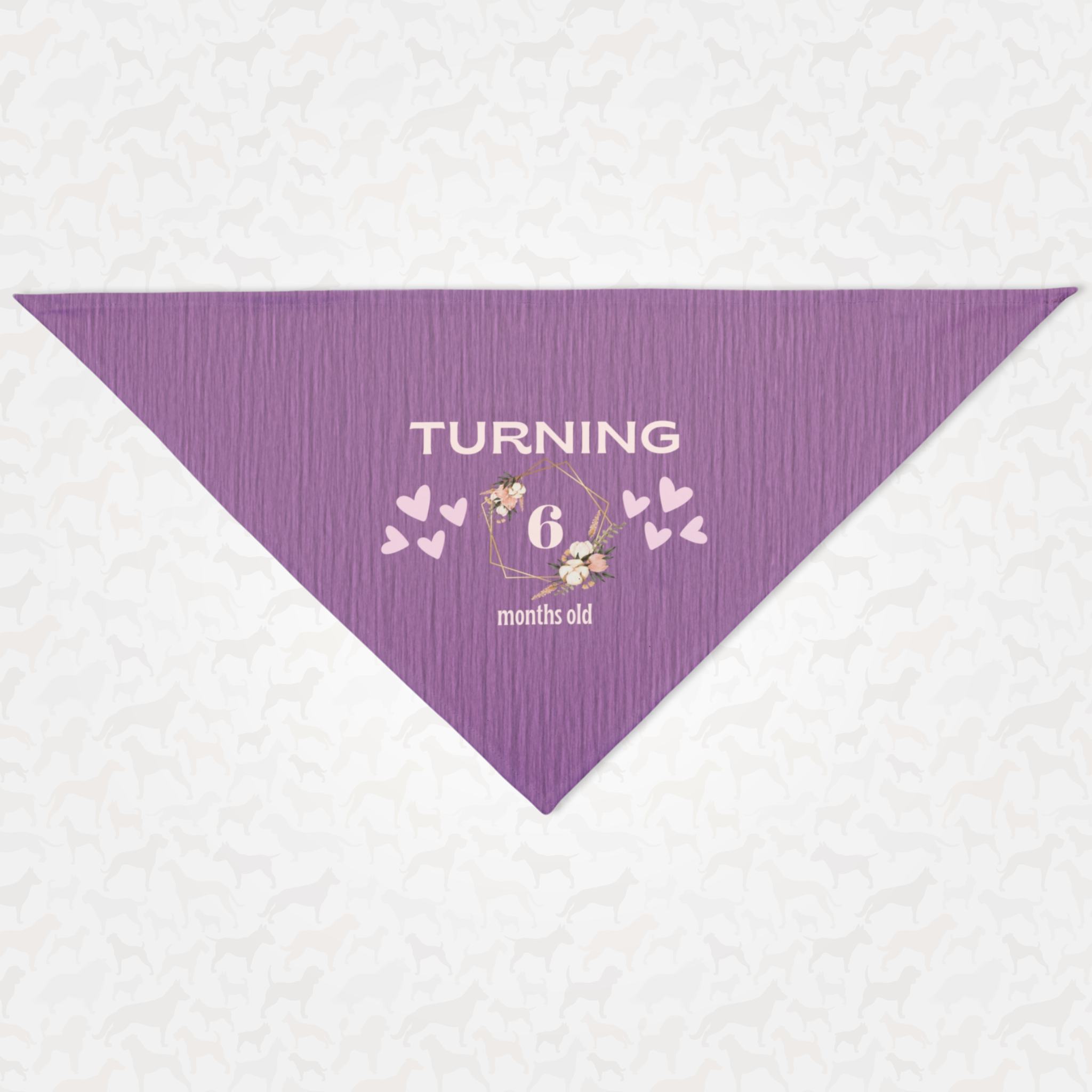 Personalized birthday dog bandana featuring custom month age in floral frame with hearts on purple background.