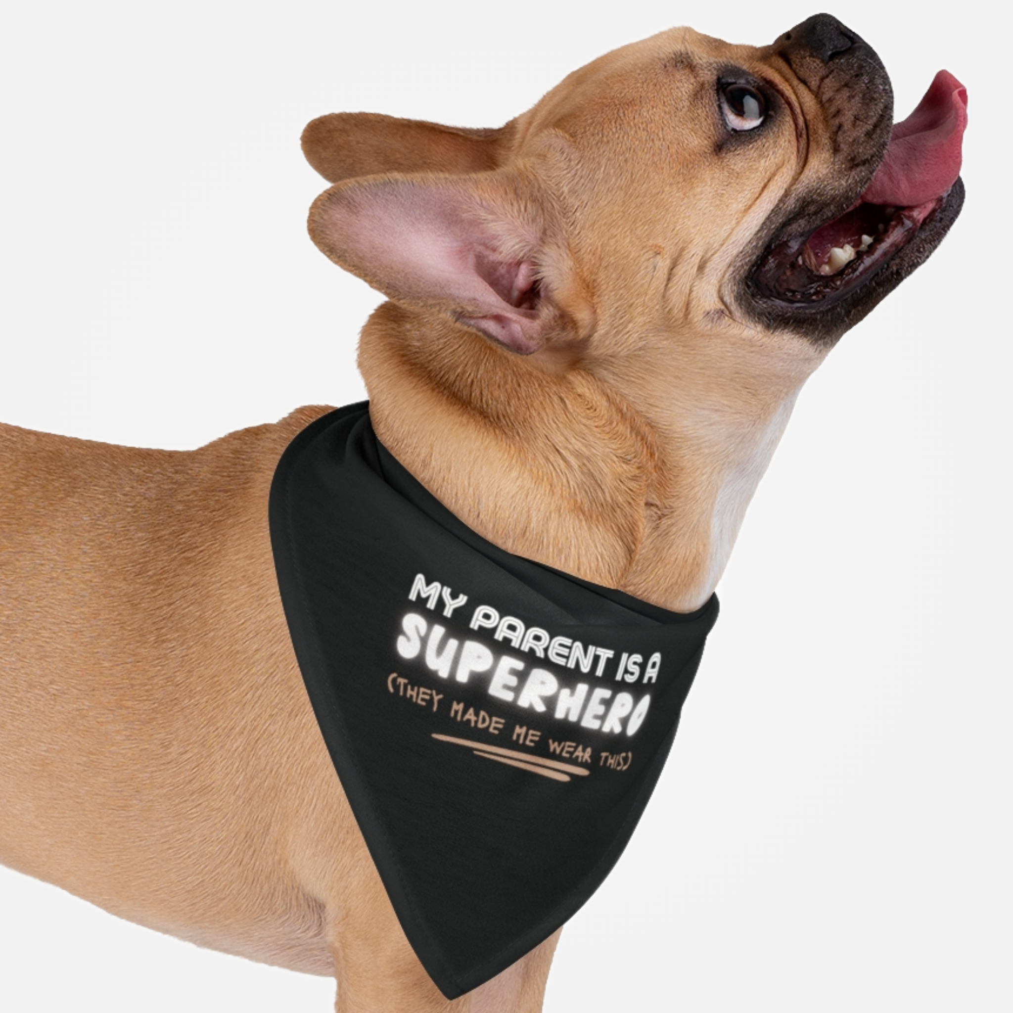 Puppy wearing a funny and cute dog bandana with "My Parent Is A Superhero" quote printed on it.