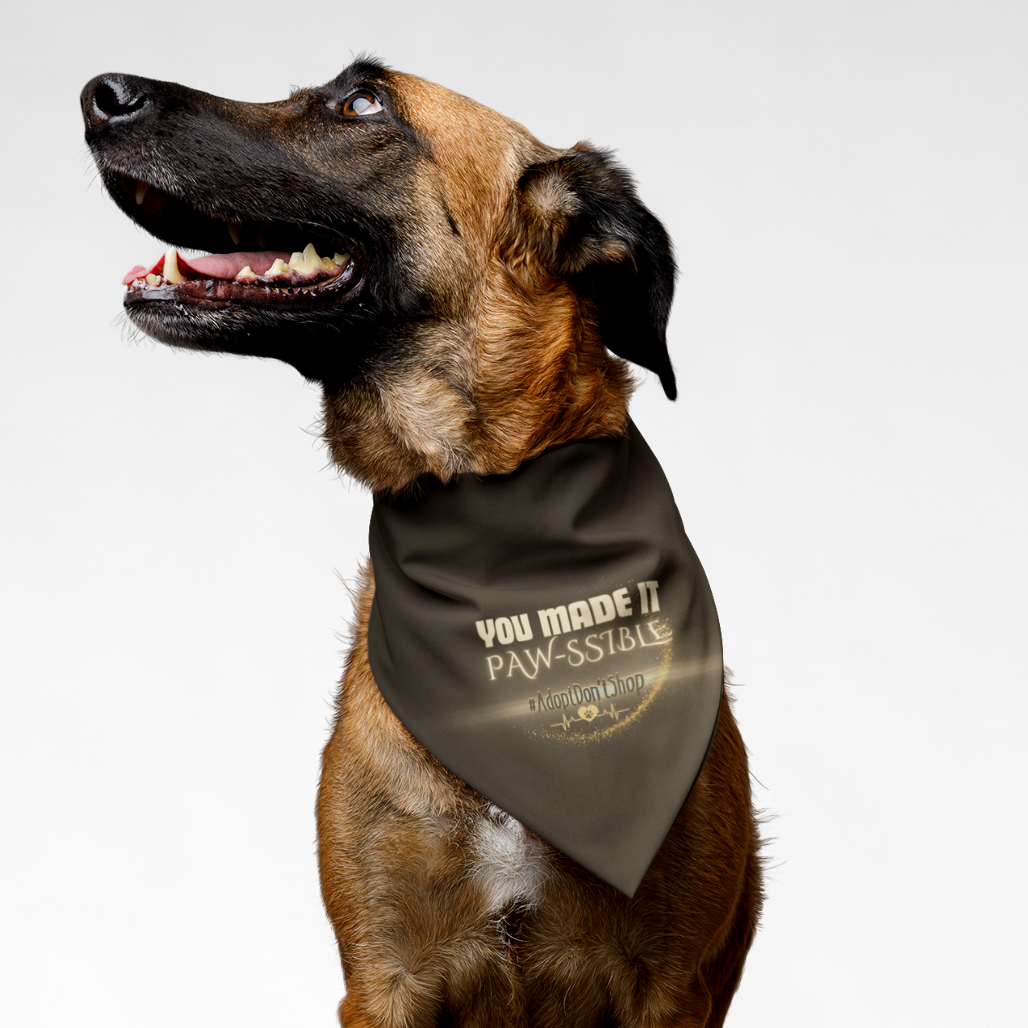 Rescue dog wearing Adopt Don't Shop bandana with glow and glitter print effect saying You Made It Paw-ssible.